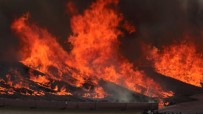 Birleşik Arap Emirlikleri'nin Kurucusunun Çiftliğinde Yangın Çıktı