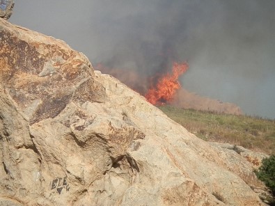 Foça'da Makilik Alanda Yangın