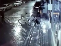 SOKAK KÖPEĞİ - Önce pitbull saldırttılar ardından bıçakladılar