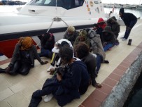DEMOKRATIK KONGO CUMHURIYETI - Çanakkale'de 41 Kaçak Göçmen Yakalandı