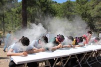 DEMRE - CHP'liler Gençlik Pikniğinde Buluştu