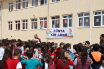 BESLENME ALIŞKANLIĞI - Erzincan'da Dünya Süt Günü Kutlandı