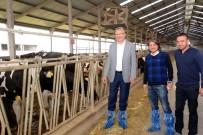 Başkan Özkan'dan Dünya Süt Haftası'nda Anlamlı Mesaj