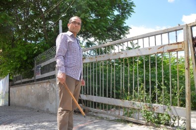 Edirne'de Esnaf Fırça Sopayla Yılan Nöbeti Tutuyor