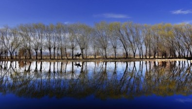 Fotoğraf Yarışması Sonuçlandı