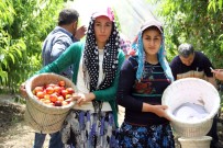 Gece 03.30'Da Yola Düşüyorlar Açıklaması Çoğu Kadın
