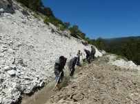 SU KANALI - Sulama Kanallarının Temizliğini Vatandaşlar Yapıyor