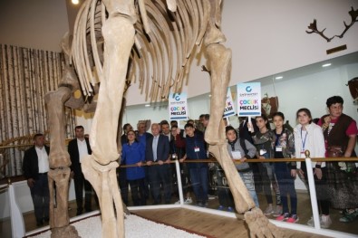 Türkiye'nin Tek Zooloji Ve Doğa Müzesine Yoğun İlgi