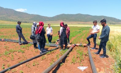 İslahiye MYO Organik Tarım Programı Öğrencileri Sahada
