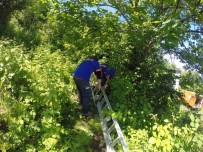 Trabzon'da Su Kuyusunda Kayıp Şahsın Cesedi Bulundu