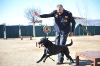 ANKARA İTFAİYESİ - K-9 Bomba Arama Köpekleri Göreve Hazır