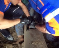 DİKKATSİZLİK - Ayağı Tarım Makinesine Sıkıştı