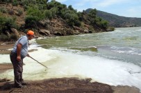 BİYOLOJİK ÇEŞİTLİLİK - Bafa Gölü'nde Korkutan Manzara