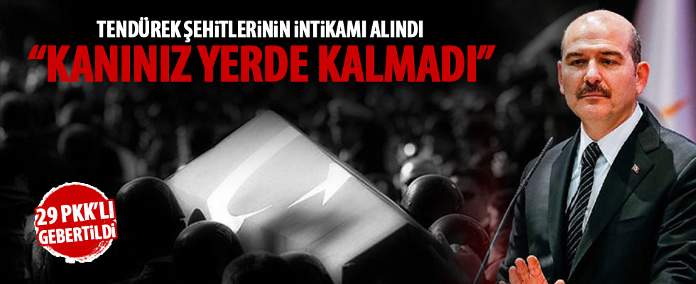 Bakan Soylu: En ağır ceza verildi