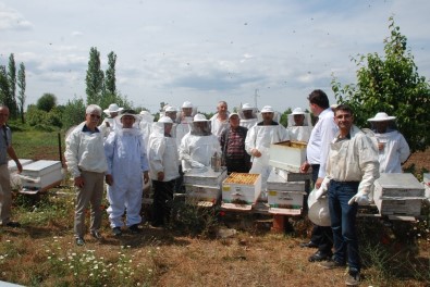 Bayramiç'te Ana Arı Üretim Kursu Açıldı