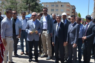 Mardin'de 'Öğrenim Şenlikleri' Başladı