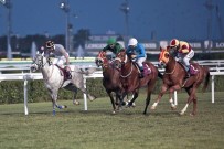 TÜRKIYE JOKEY KULÜBÜ - Kırkpınar Koşusu'nun Galibi 'İzşan'