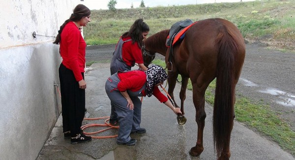 TJK kadın seyis yetiştiriyor! Maaşı ise...