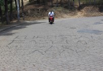 Aydın'da Utandıran Manzara