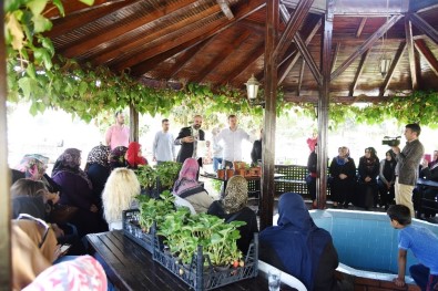 İzmit'te Balkonlarda Organik Sebze Yetişecek