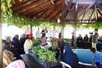 ORGANİK SEBZE - İzmit'te Balkonlarda Organik Sebze Yetişecek