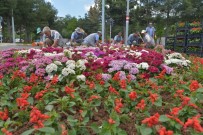 SAID NURSI - Diyarbakır'da 1 Milyon Mevsimlik Çiçek Dikiliyor
