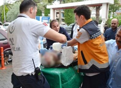 Milas'ta Yıldırım Can Aldı