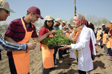 Özel Öğrenciler Sebze Fidesi Dikti