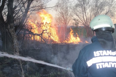 Tavşanlı'da Arazide Yangını