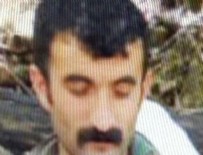 PKK'ya Tunceli'de büyük darbe!