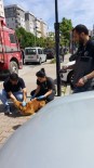 KARTAL BELEDİYESİ - Kartal'da Sokak Hayvanları Kuduza Karşı Aşılandı