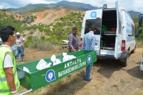 HALIS ARSLAN - Mezarları Böyle Taşıdılar