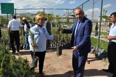 Yüksekova Belediyesi 13 Bin Fidan Dağıttı