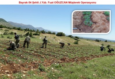 Diyarbakır'da PKK'ya büyük operasyon