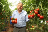 KAYHAN - Kayhan Açıklaması 'Çiftçilerimiz Zararına Satış Yapmaktadır'