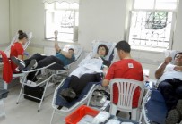 Edremit'te 'Bengi İle Değerlerimizi Yaşatıyoruz' Kampanyası