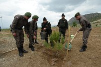AHMET ALTIPARMAK - Jandarma Şehitler Ormanında 810 Fidan Toprakla Buluştu
