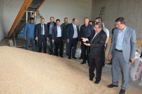 GAZIANTEP TICARET BORSASı - Gaziantepli Hububatçılardan Güneydoğu Çıkarması