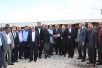 KAN DAVASı - 6 Yıllık Kan Davası Sona Erdi