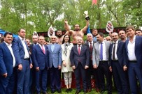 ÜNAL KARAMAN - 625. Geyikkoşan Güreşleri'nde Başpehlivan Mehmet Yeşil Yeşil