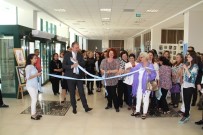 'Çizginin Gücü Renklerin Dansı' Sergisi