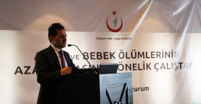 Erzurum'da Anne Ve Bebek Ölümlerinin Azaltılması Çalıştayı