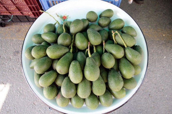 Avakadoya talep patladı