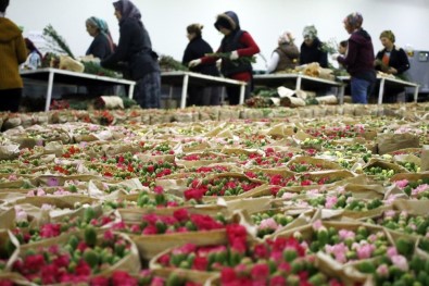 Antalya'nın Anneler Günü Beklentisi 7 Milyon Dolar