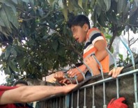 ALI DOĞAN - Eline Demir Parmaklık Saplandı!