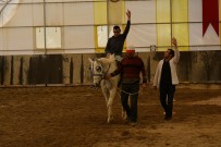 HAYVAN SEVGİSİ - Engellilere 'Ücretsiz' Atlı Terapi
