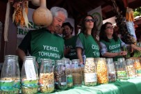 Menteşe'de 5. Tohum Ve Fide Şenliği