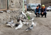 FATIH YıLMAZ - Otomobil Fiyatına Güvercin