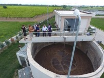 ELEKTRİK TASARRUFU - Çevreci Yatırımların Meyvesi Toplanıyor