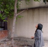 Mucize kurtuluş! Öldürmeyen Allah öldürmüyor